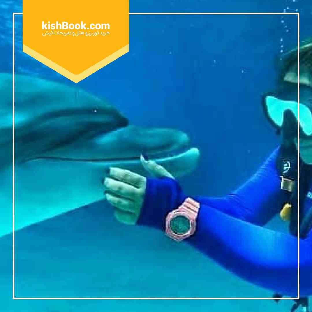 غواصی با دلفین کیش