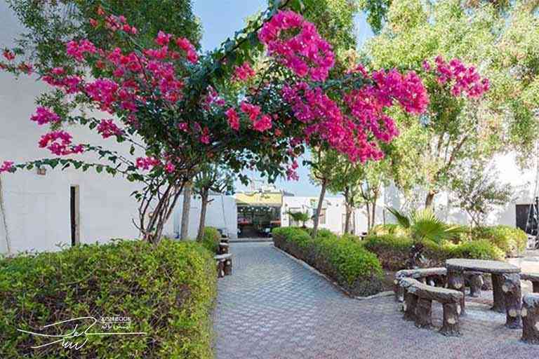 156gognoos-hotel-kish-6