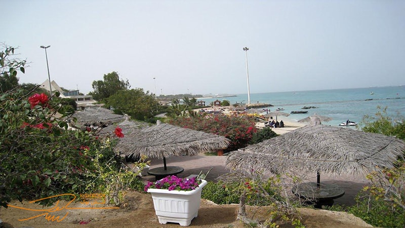 ساحل مرجان کیش